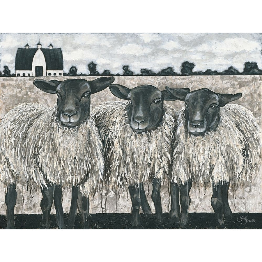 Three Sheep Poster Print by Hollihocks Art Hollihocks Art Image 1