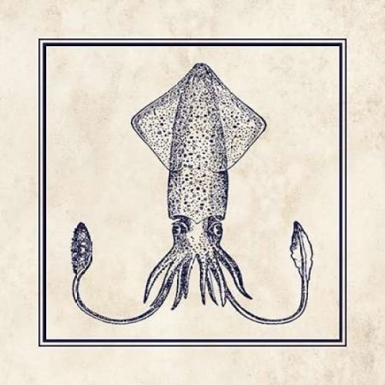 Squid Sq Poster Print by N Harbick Image 2