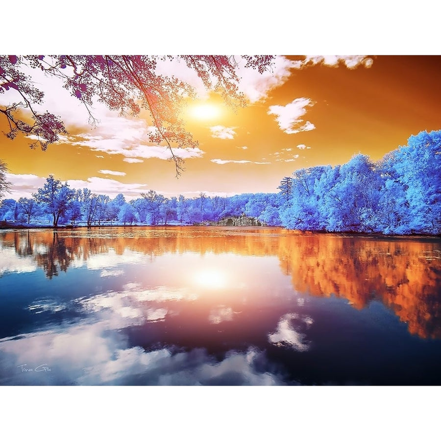 Double Reflections-Majolan s Park-Bordeaux - Infrared Photography by Tonee Gee Image 1