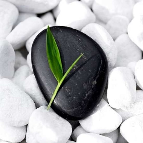 Zen Stone Poster Print by PhotoINC Studio Image 1