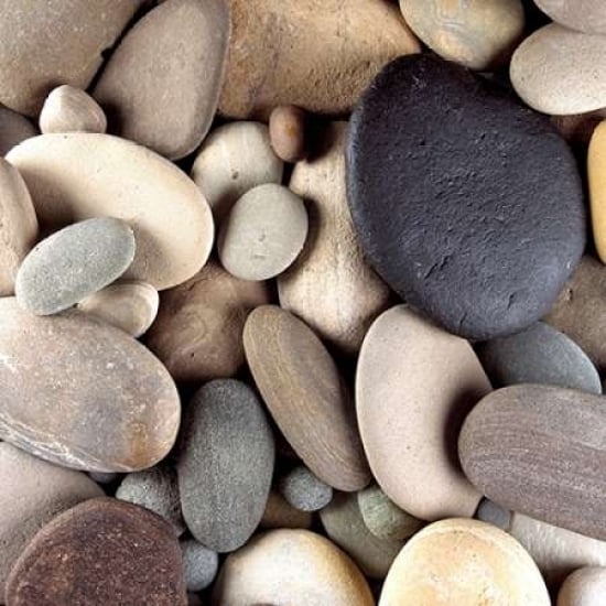 Brown Pebbles Poster Print by PhotoINC Studio Image 1