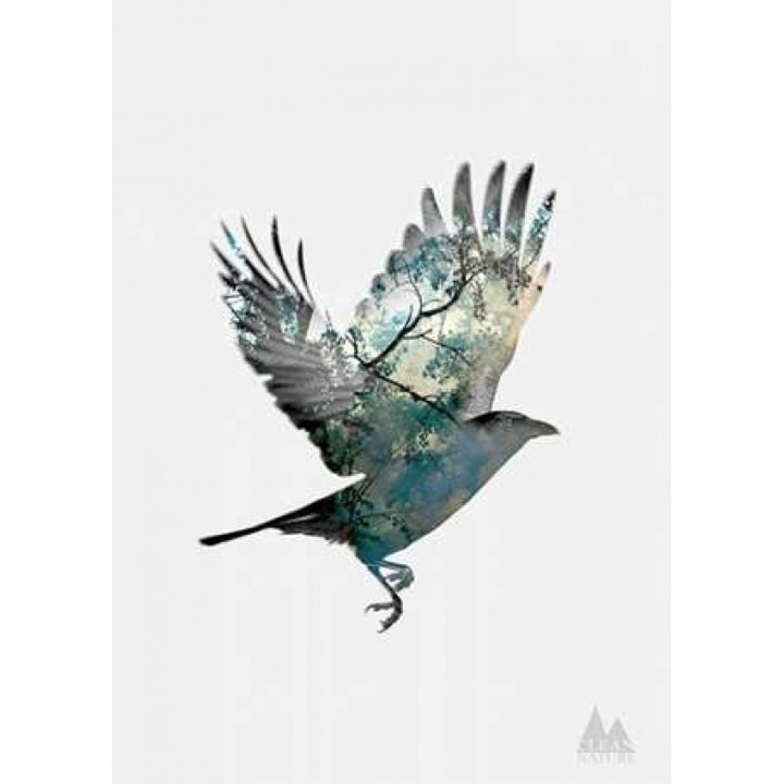 Bird Poster Print by Clean Nature Image 1