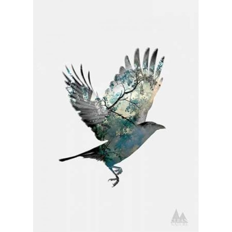 Bird Poster Print by Clean Nature Image 1