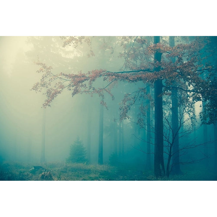 Woods Poster Print by PhotoINC Studio Image 2