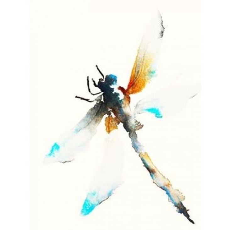 Blue and Brown Dragonfly Poster Print by Karin Johannesson Image 2