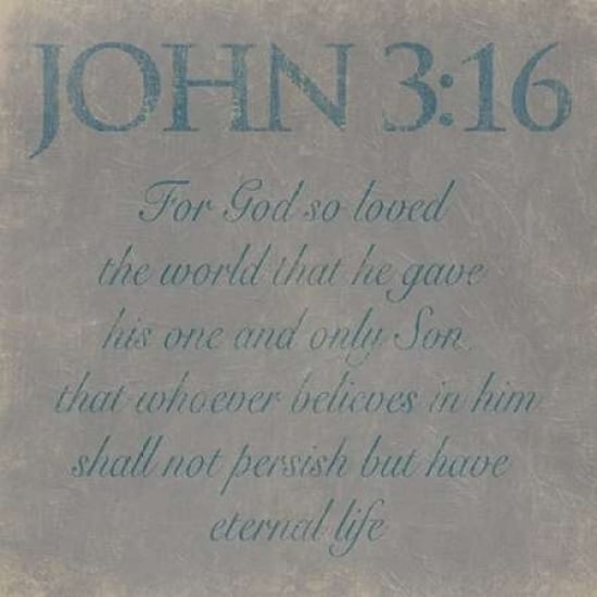 John 3-16 Poster Print by Jace Grey Image 1