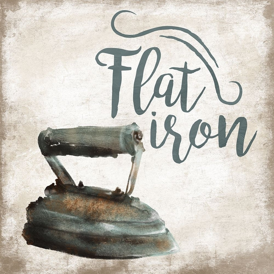 Flat Iron Poster Print by Jace Grey Image 1