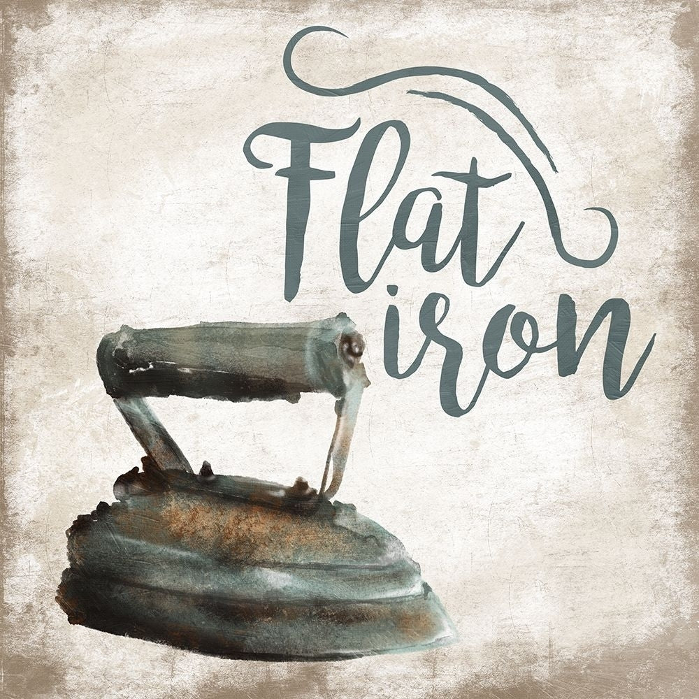 Flat Iron Poster Print by Jace Grey Image 2