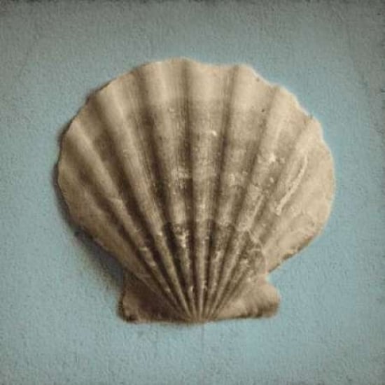 Seashell Study II Poster Print by Heather Jacks Image 1