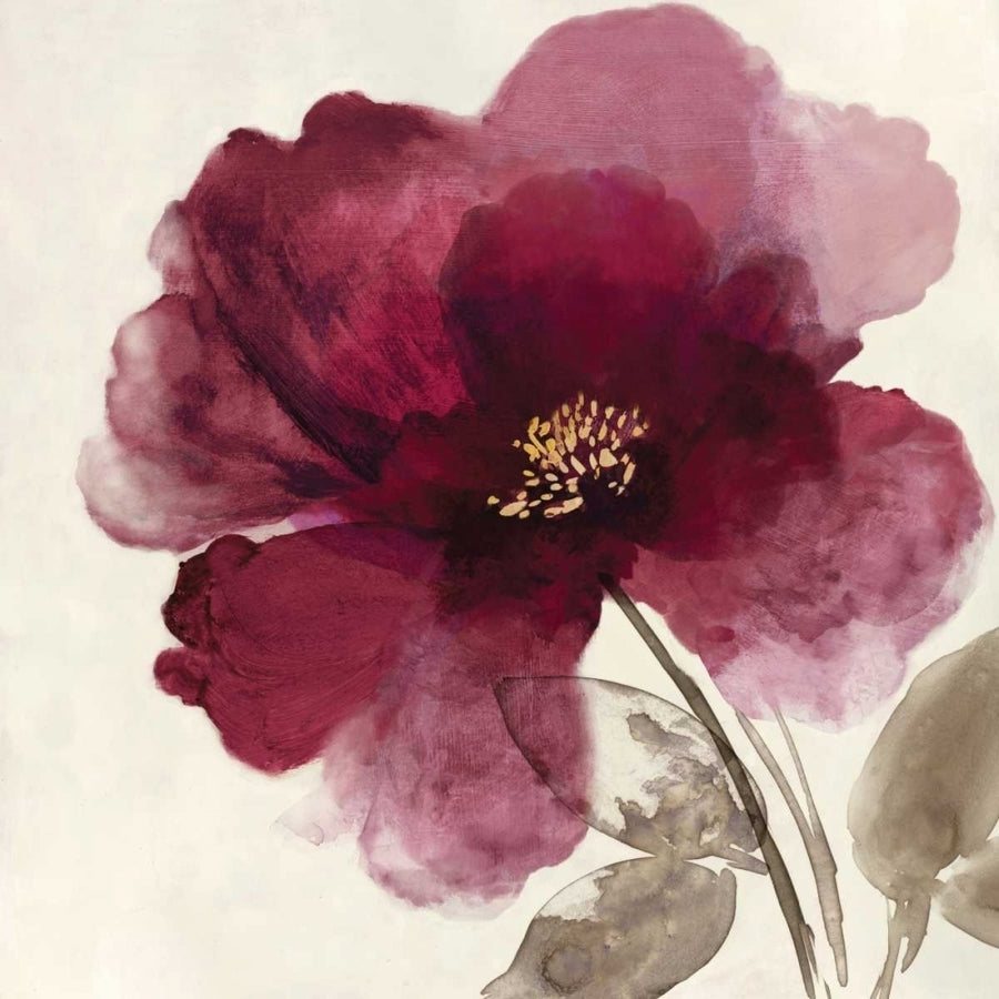 Crimson Peony II Poster Print by Asia Jensen Image 1