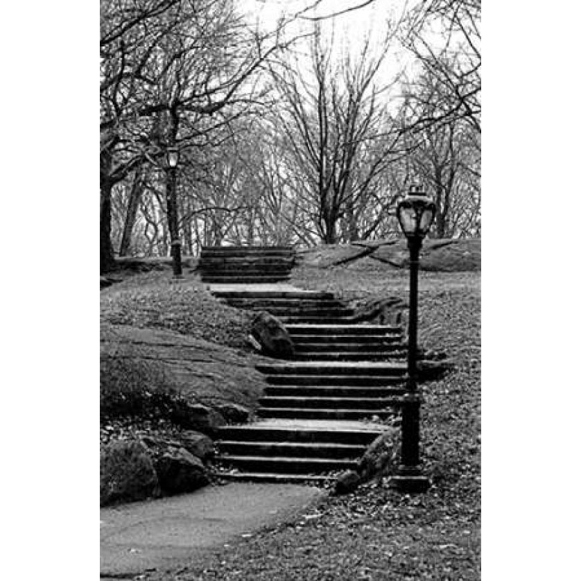 Central Park Stairs To Nowhere Poster Print by Jace Grey Image 1