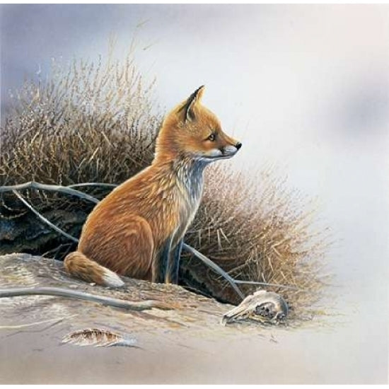 Little fox Poster Print by Jan Weenink Image 1