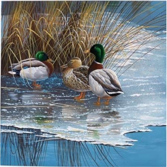 Three ducks on ice Poster Print by Jan Weenink Image 1