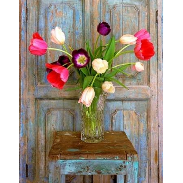 Tulips Mexico Poster Print by Alan Klug Image 1