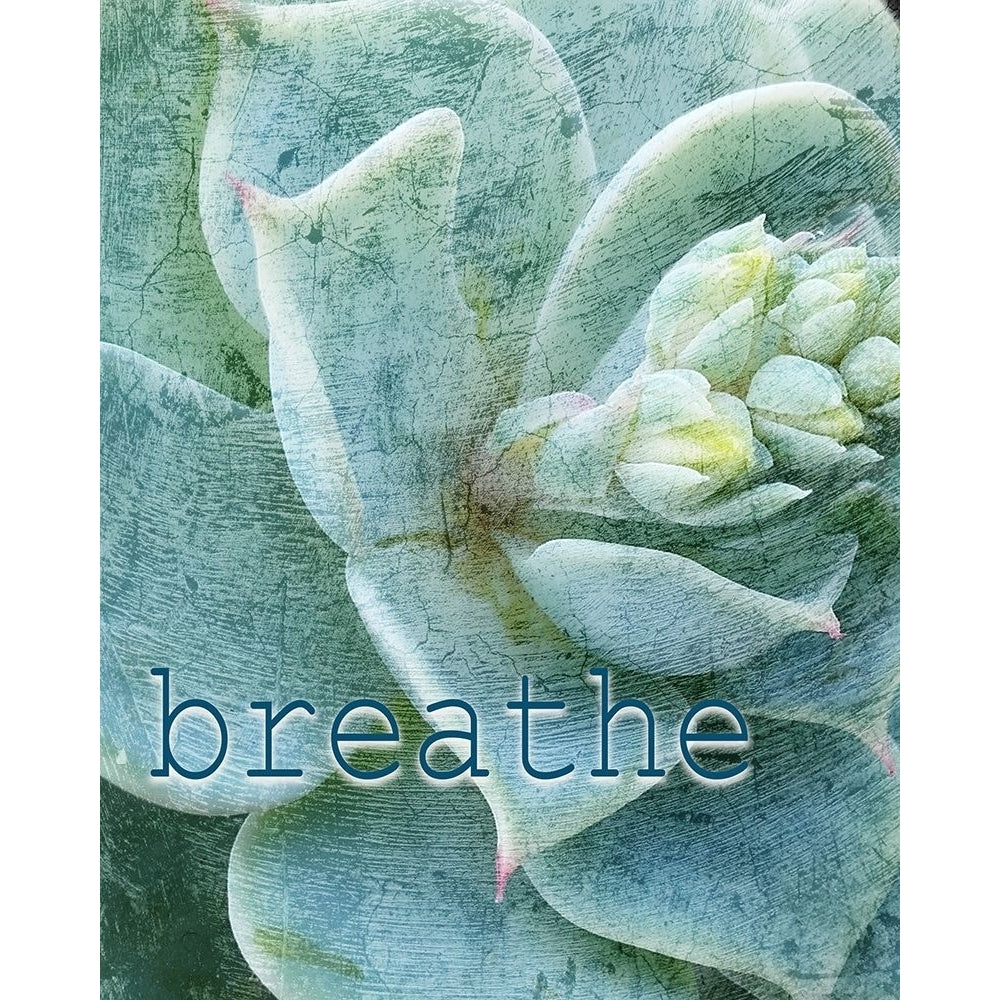 Relax and Breathe 2 Poster Print by Allen Kimberly Image 1