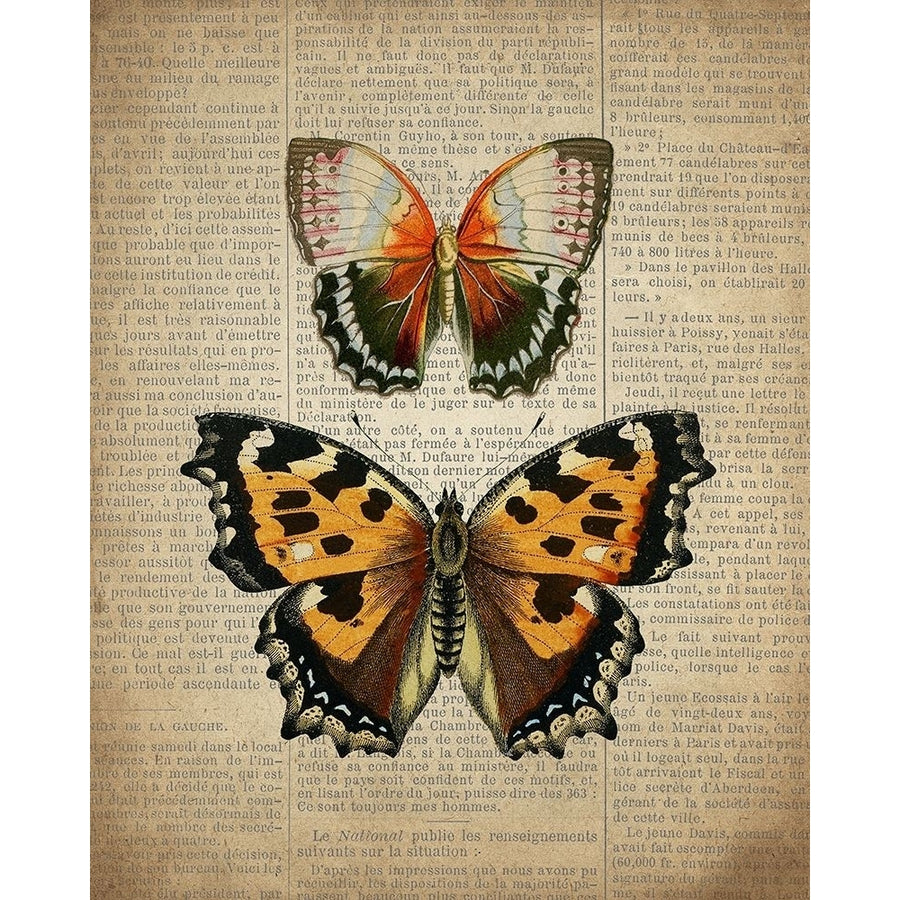 Newspaper Butterfly 3 Poster Print by Kimberly Allen Image 1