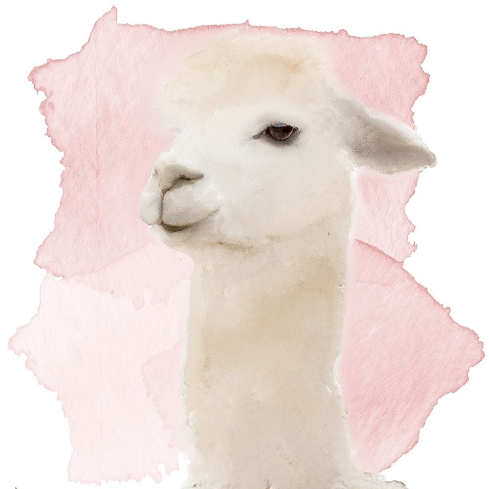 Watercolor Llama Poster Print by Allen Kimberly Image 1