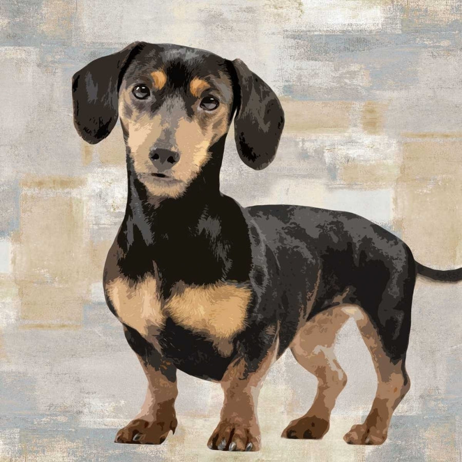 Dachshund Poster Print by Keri Rodgers KG114633 Image 1