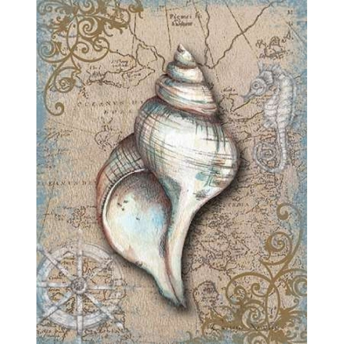 Nautical Treasures II Poster Print by Donna Knold Image 1