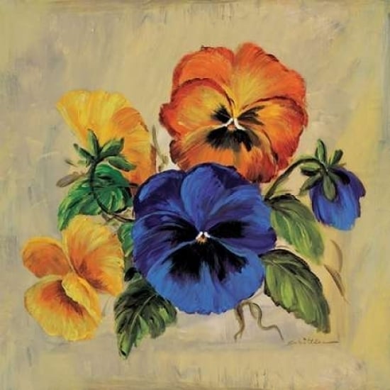 Colourful pansies Poster Print by Katharina Schottler Image 1