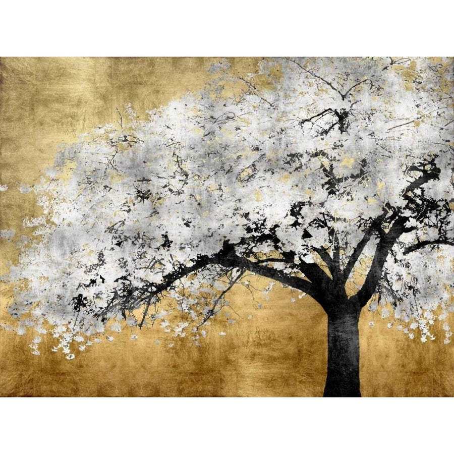 Silver Blossoms Poster Print by Kate Bennett KTB111458DG Image 1