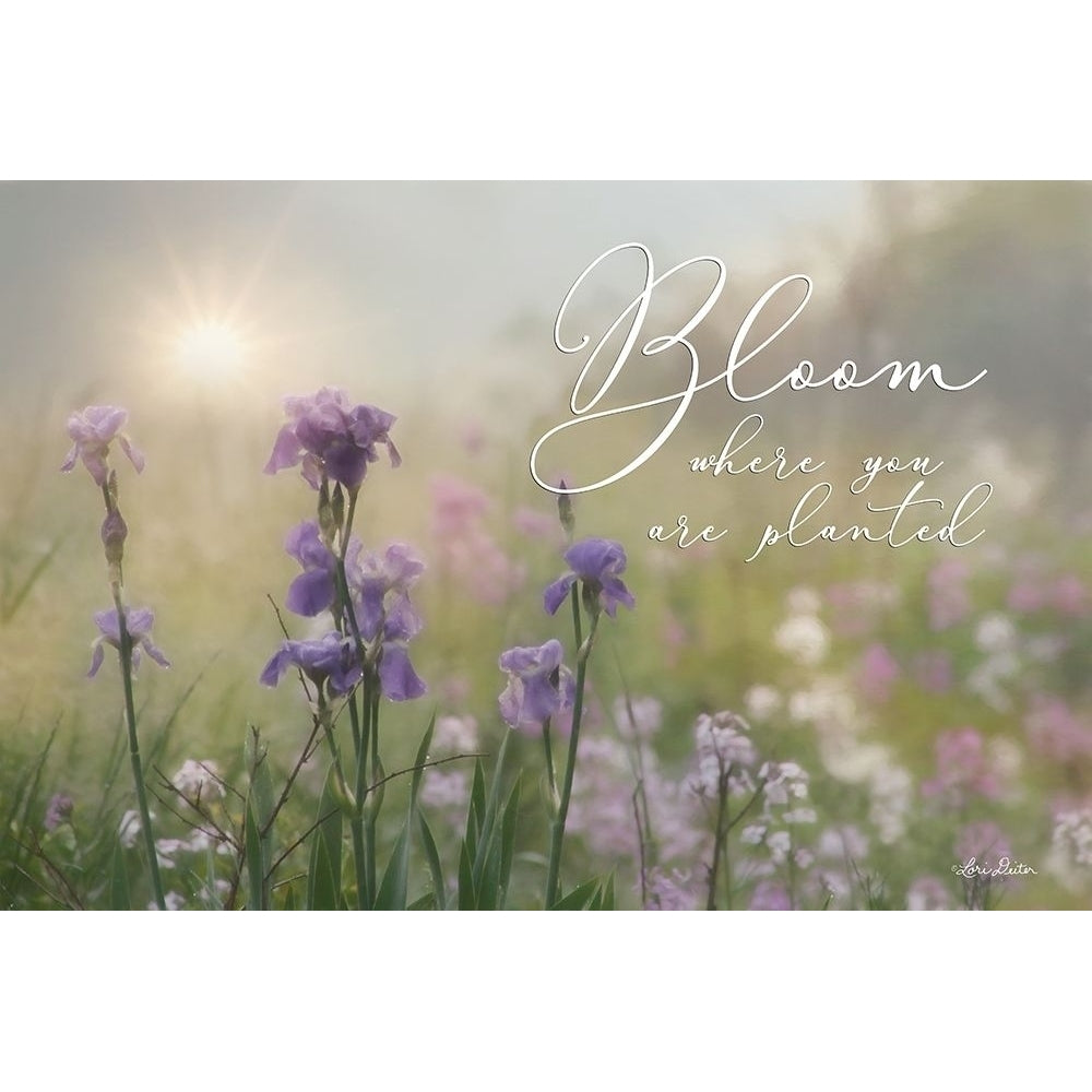 Bloom Where You are Planted Poster Print by Lori Deiter Image 1