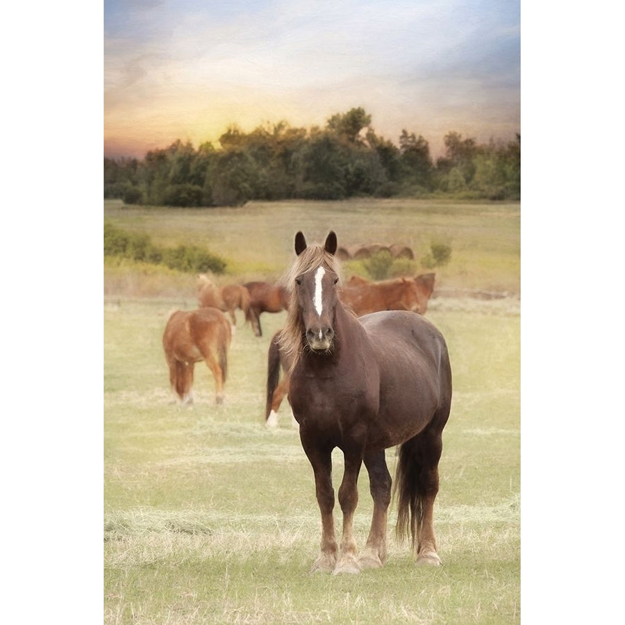 Jackson Horse Farm Poster Print by Lori Deiter LD2007 Image 1