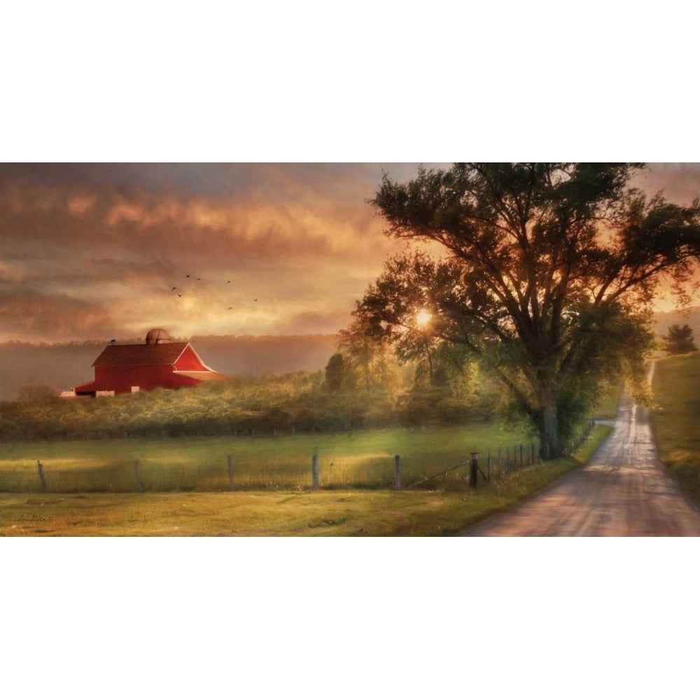 Country Lane Sunset Poster Print by Lori Deiter Image 1