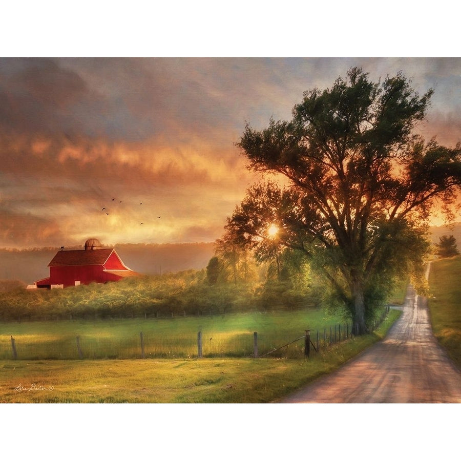 Country Lane Sunset Poster Print by Lori Deiter LD538E Image 1