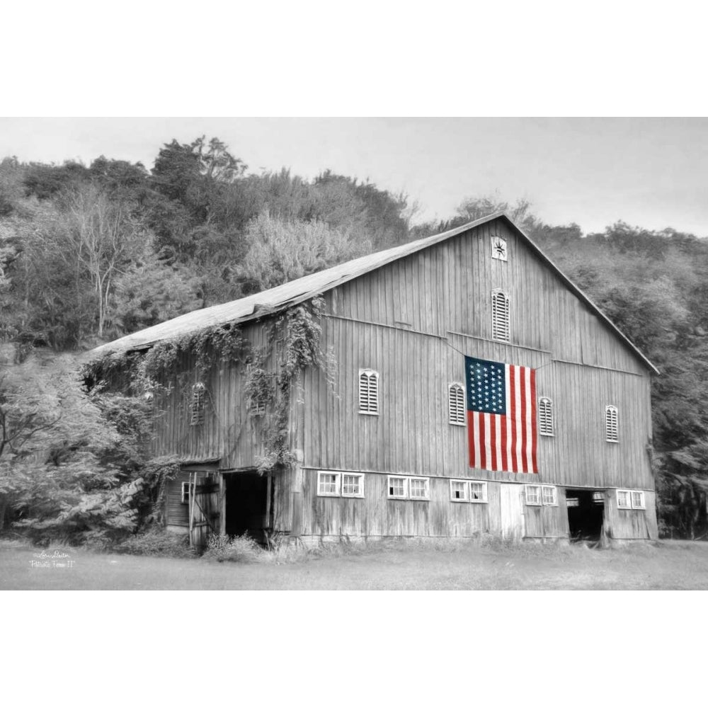 Patriotic Farm II Poster Print by Lori Deiter Image 1