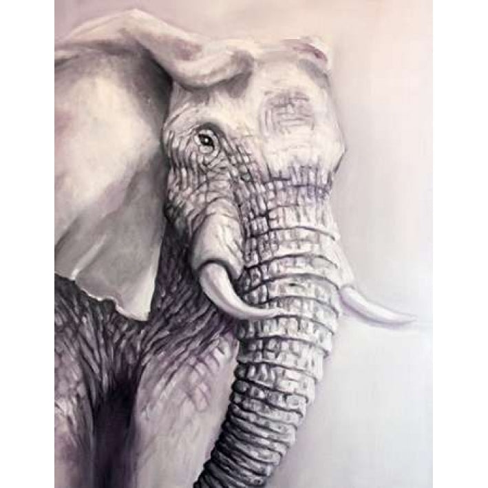 Elephant Trail 1 Poster Print by Lisa Colberg Image 2