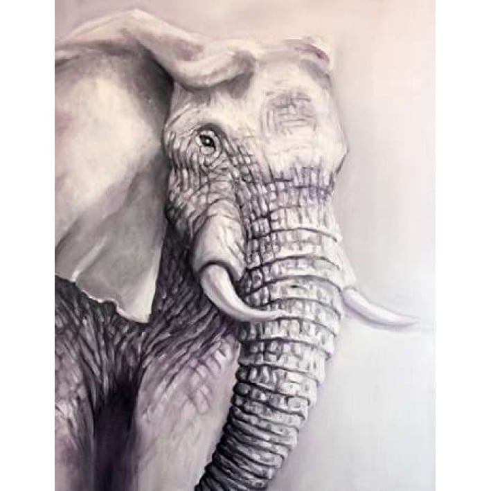 Elephant Trail 1 Poster Print by Lisa Colberg Image 1