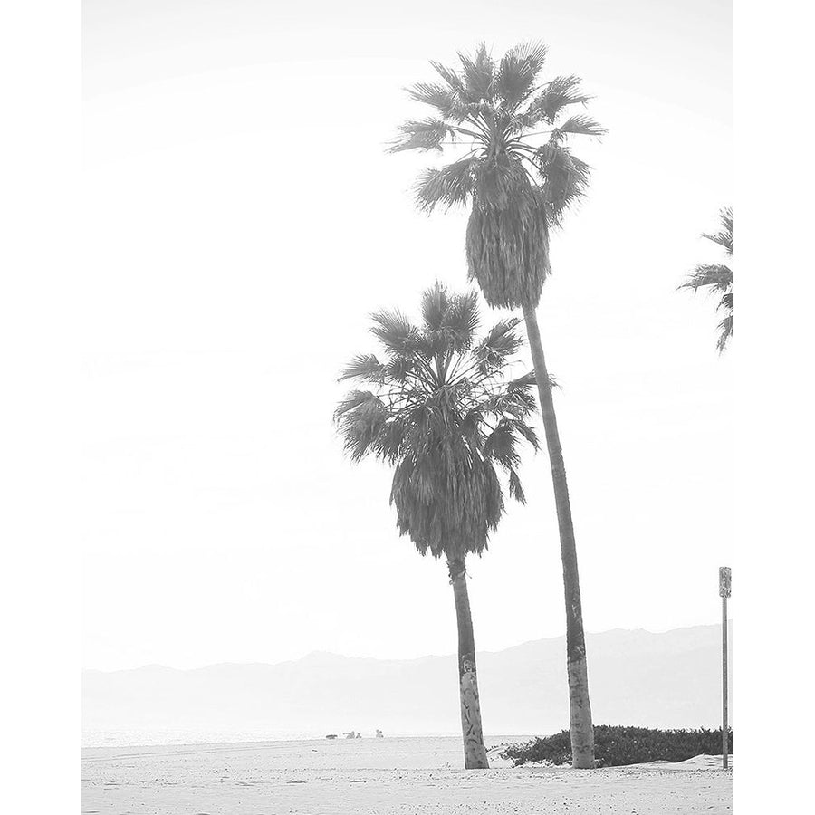 Palm Trees Poster Print by Leah Straatsma LSRC051 Image 1