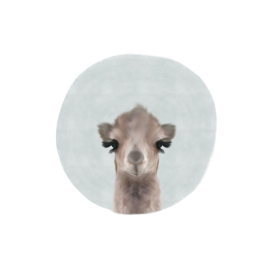 Baby Camel Circle Poster Print by Leah Straatsma Image 1