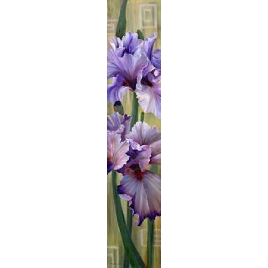 Iris I Poster Print by Jan McLaughlin Image 1