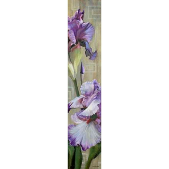 Iris III Poster Print by Jan McLaughlin Image 2