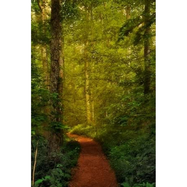 Fairytale Path Poster Print by Natalie Mikaels Image 1