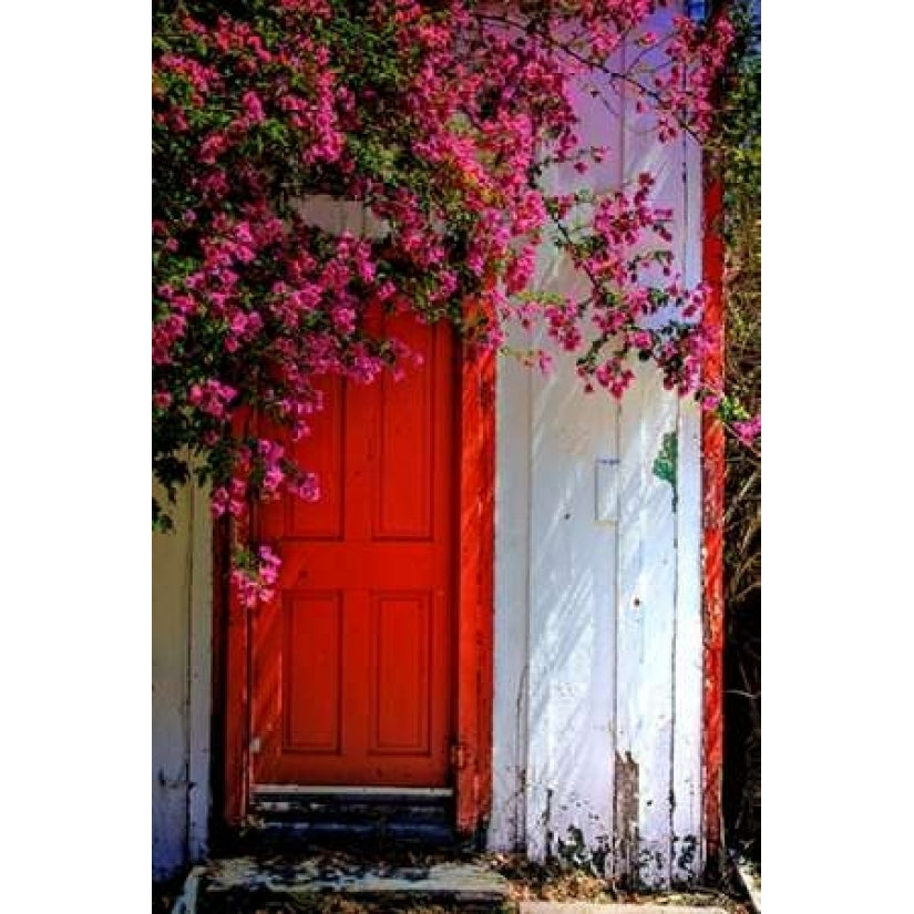 Red Door Poster Print by Dean Mayo Image 1