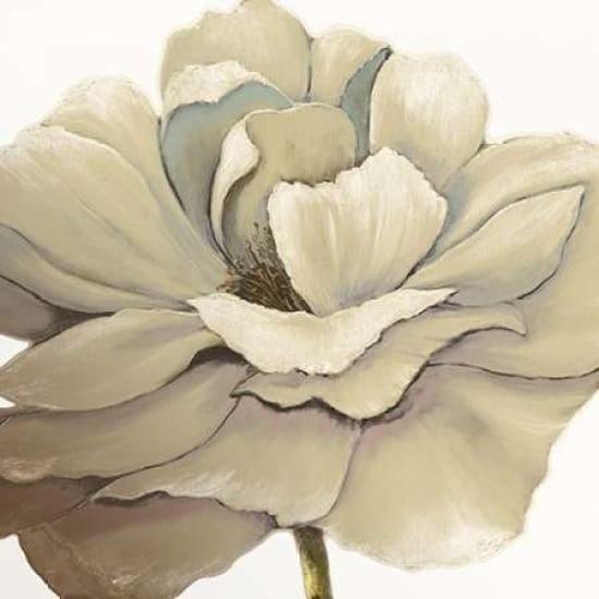 Cream Silken Bloom Withaar Poster Print by KUMA Image 2