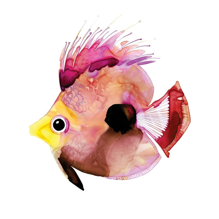 Pink Fish Poster Print by Margaret Berg Image 1