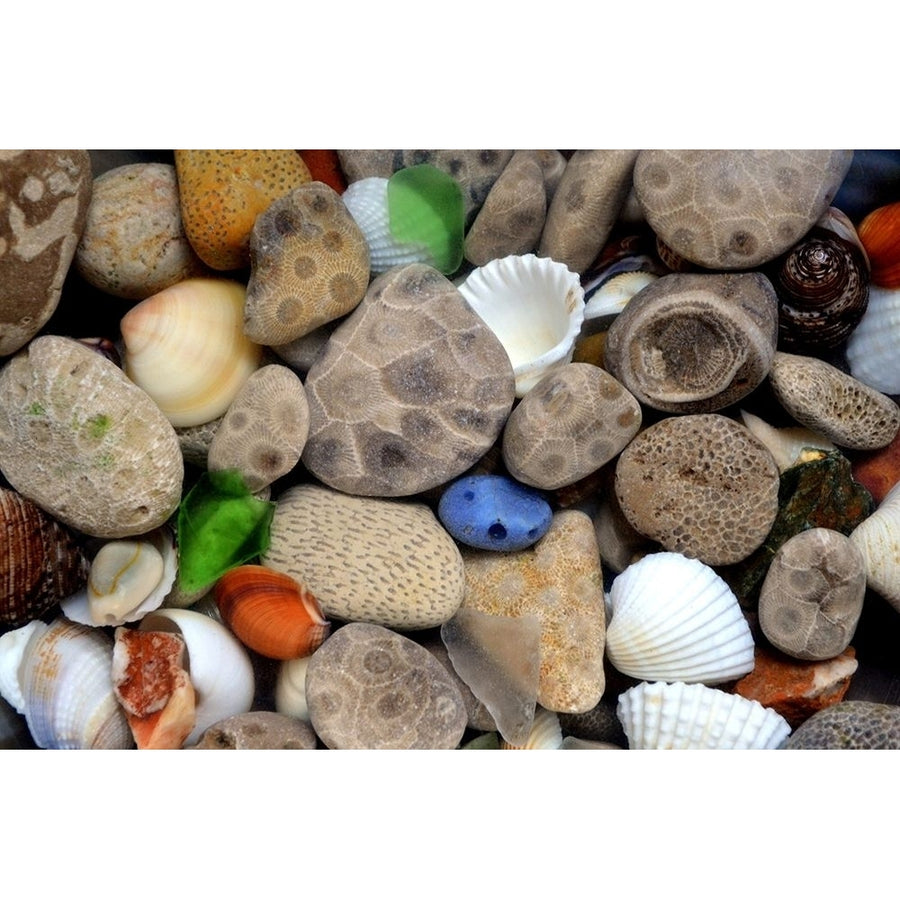 Petoskey Stones III Poster Print by Michelle Calkins MCK117031 Image 1