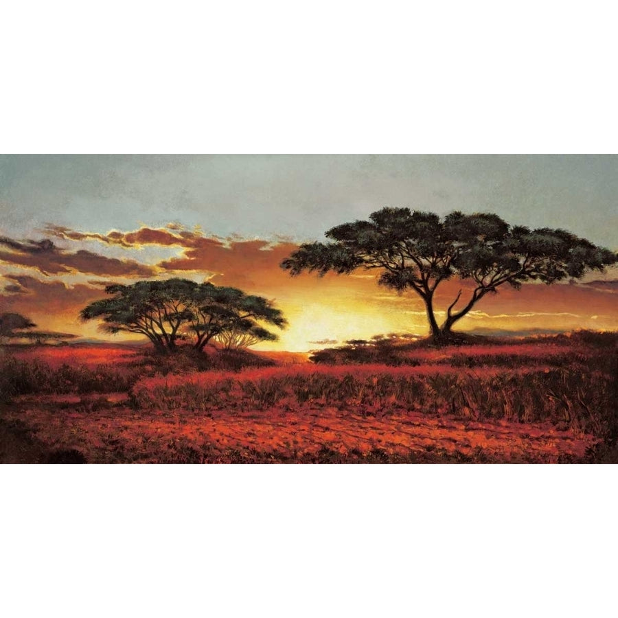 Memories of Serengeti Poster Print by Madou Madou MD5493 Image 1