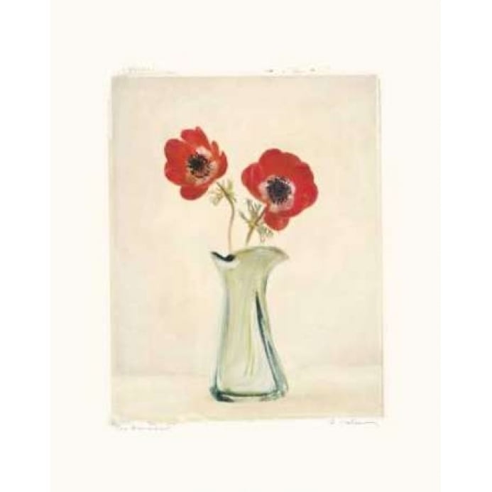 Two Anemones Poster Print by Amy Melious Image 2