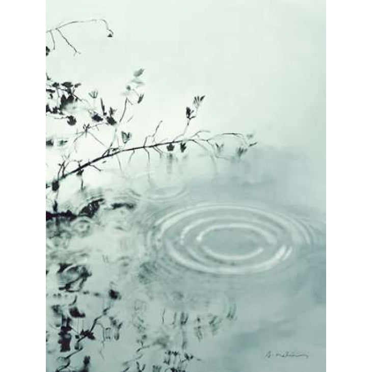 Ripples of the Rain III Poster Print by Amy Melious Image 2