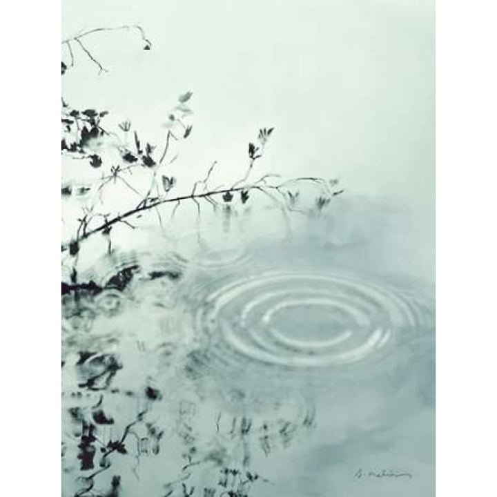 Ripples of the Rain III Poster Print by Amy Melious Image 1