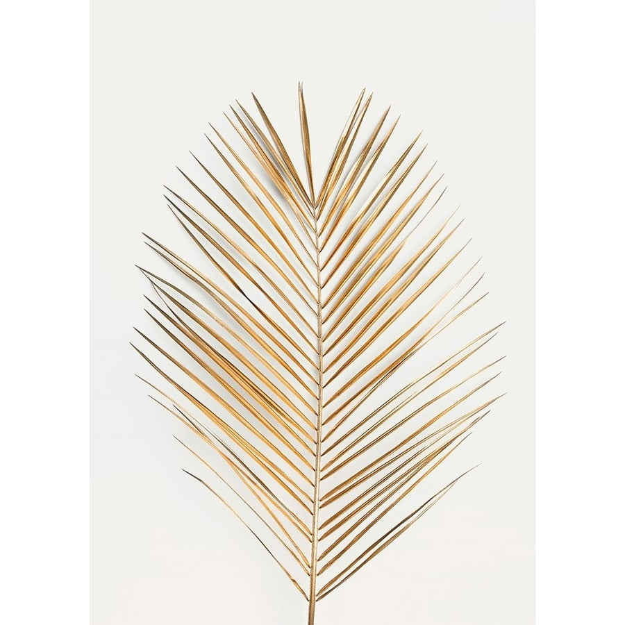 Palm Leaf Gold Poster Print by Design Fabrikken Design Fabrikken Image 1