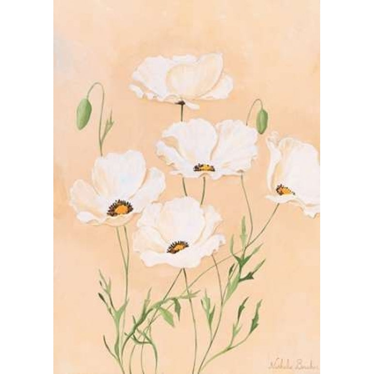 White poppy II Poster Print by Nathalie Boucher Image 1