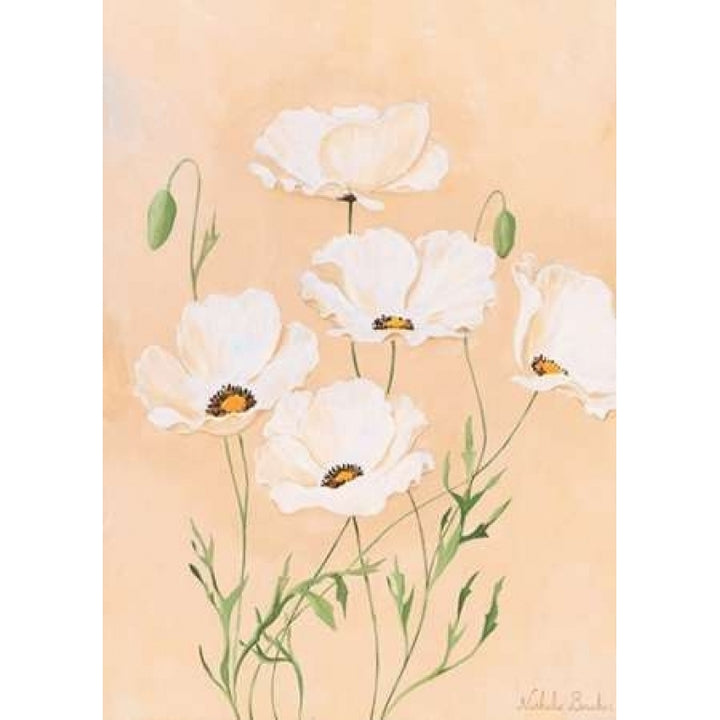 White poppy II Poster Print by Nathalie Boucher Image 2