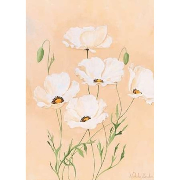 White poppy II Poster Print by Nathalie Boucher Image 1