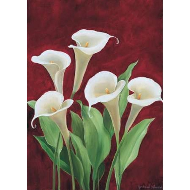 Calla on burgundy II Poster Print by Gertrud Schweser Image 2